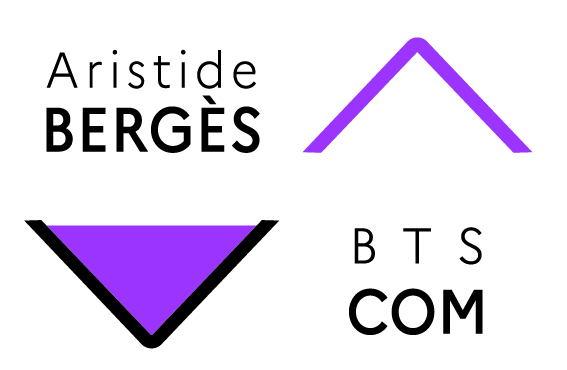 Gestion des Réseaux Sociaux du BTS Communication