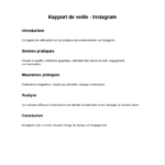 Rapport de veille insta