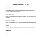 Rapport de Veille TikTok